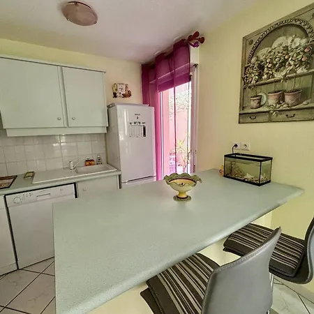 Climatise Avec Garage A 200m Des Commerces - Fr-1-816-19 Apartamento